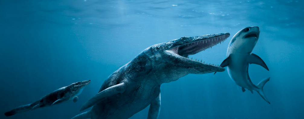 &amp;prehistoric ocean predators