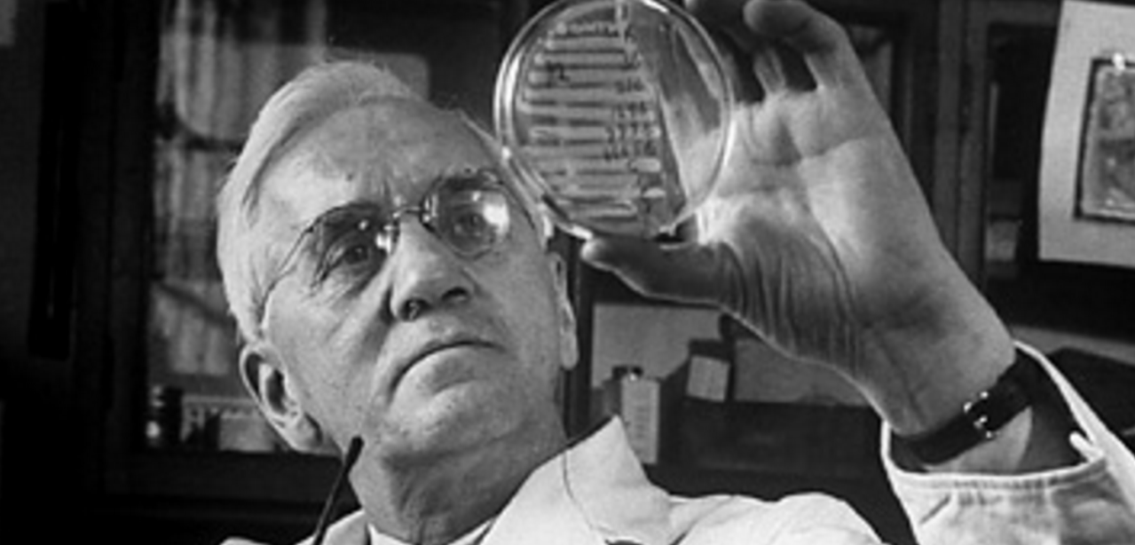 fleming-penicillin.png