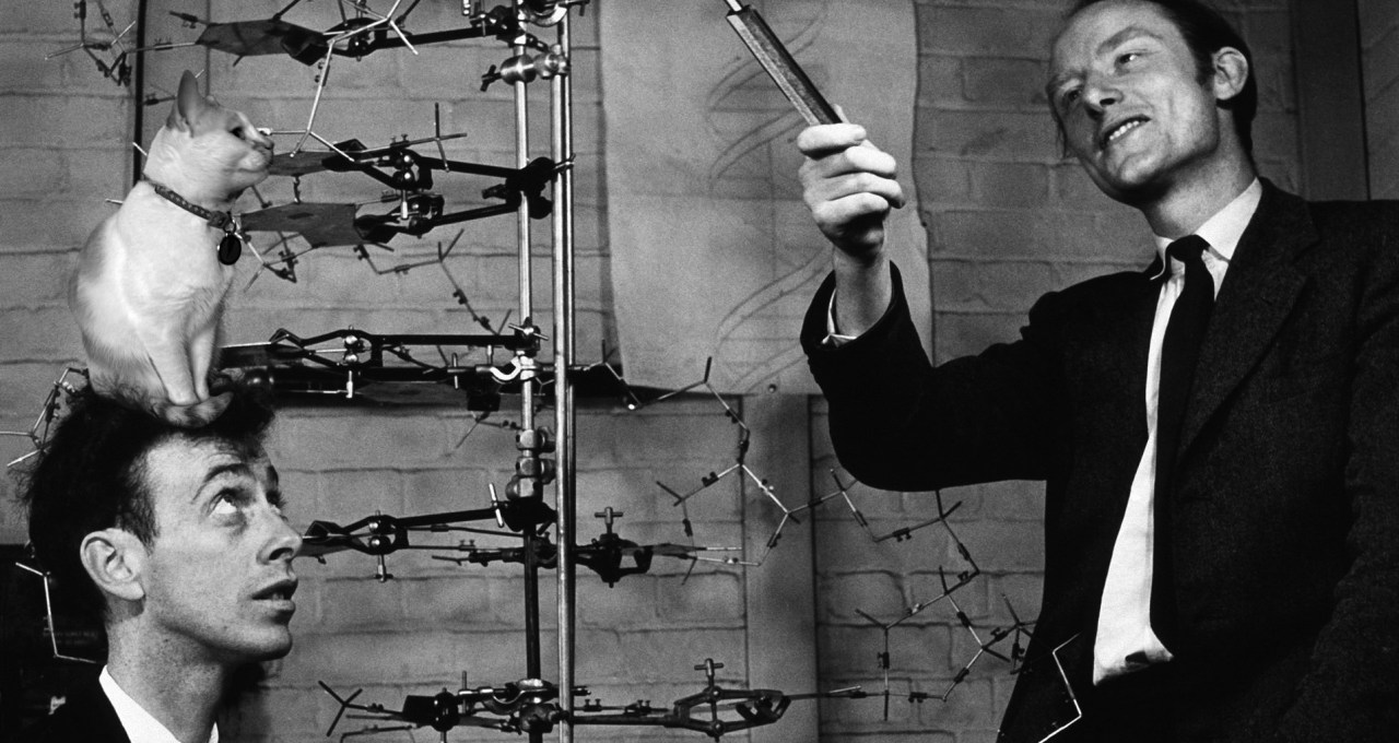 watson-crick-dna.jpg